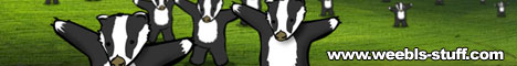 banner6